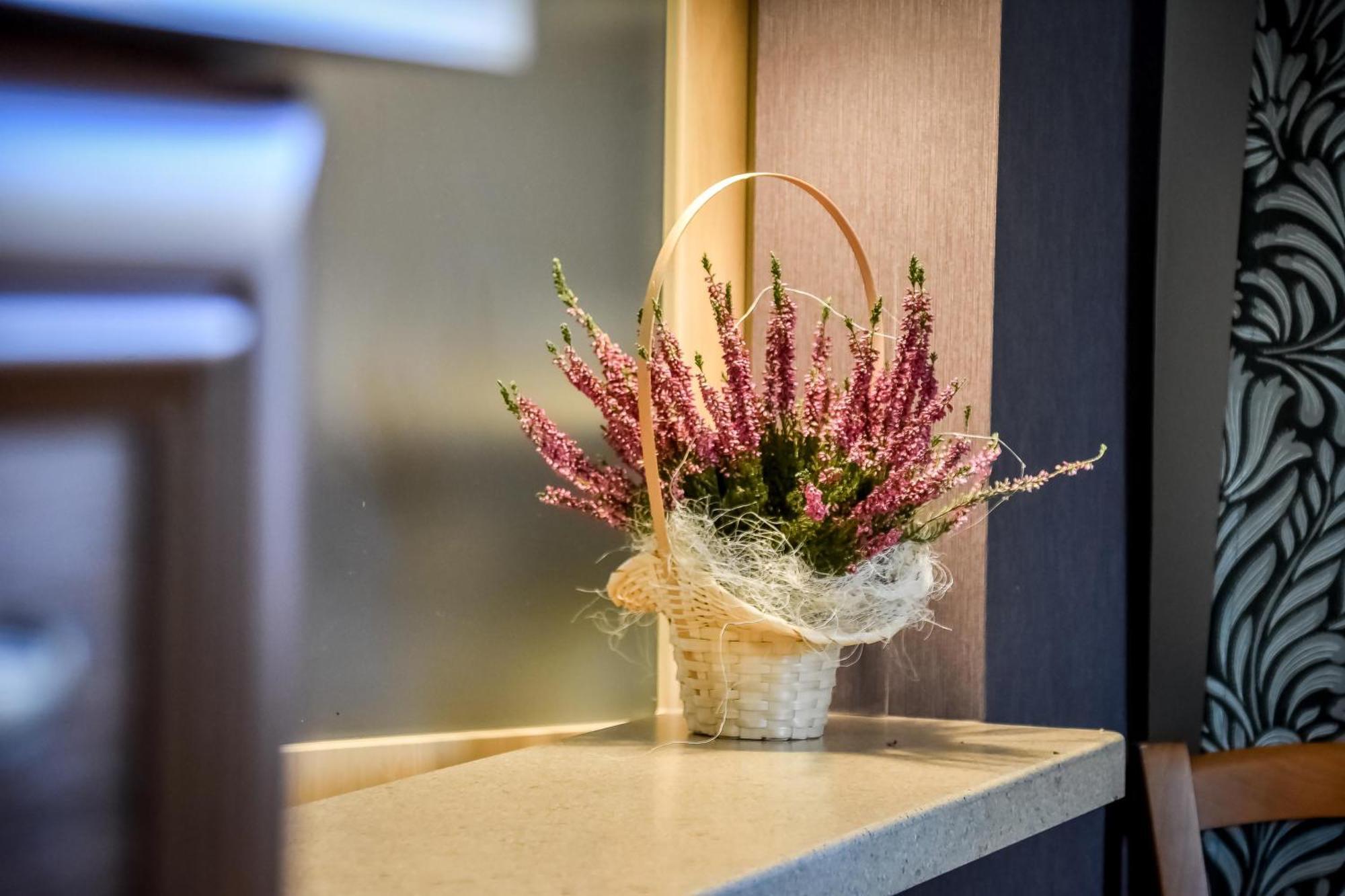 Apartament w Alejce Rabka Zewnętrze zdjęcie